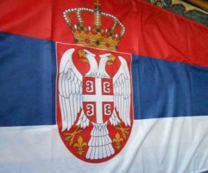 yapboz Sırbistan bayrağı